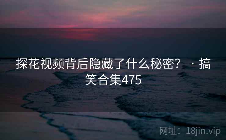 探花视频背后隐藏了什么秘密？ · 搞笑合集475