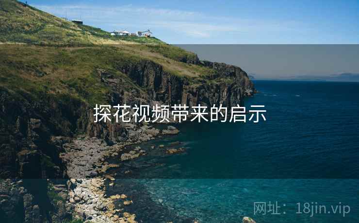 探花视频带来的启示