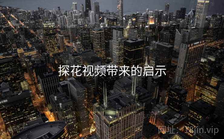 探花视频带来的启示