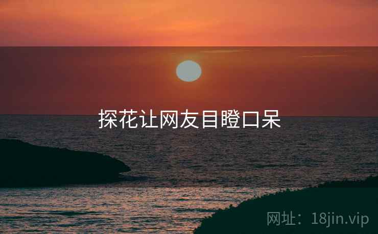 探花让网友目瞪口呆