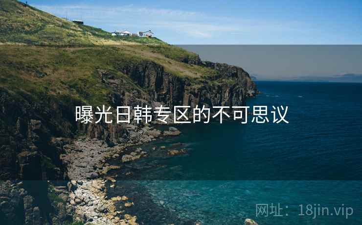 曝光日韩专区的不可思议