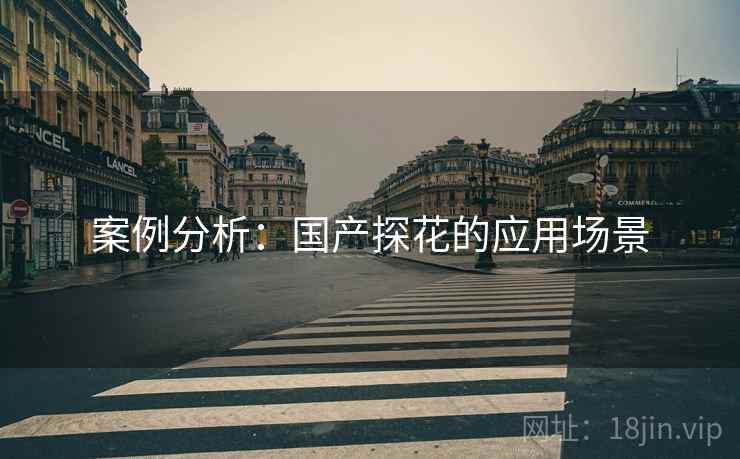案例分析：国产探花的应用场景