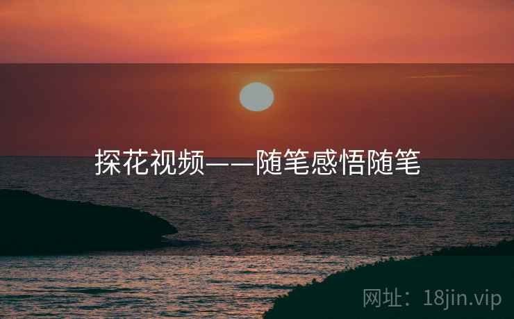 探花视频——随笔感悟随笔