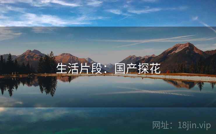 生活片段:国产探花
