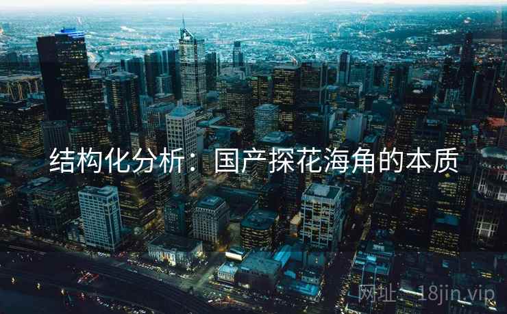 结构化分析:国产探花海角的本质