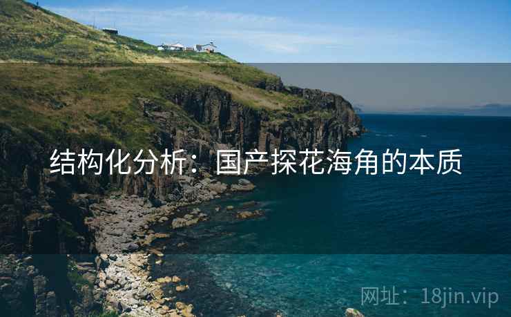 结构化分析:国产探花海角的本质