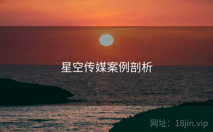 星空传媒案例剖析