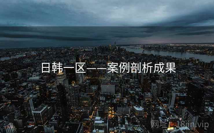 日韩一区——案例剖析成果