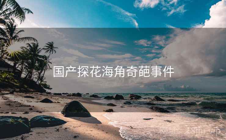 国产探花海角奇葩事件