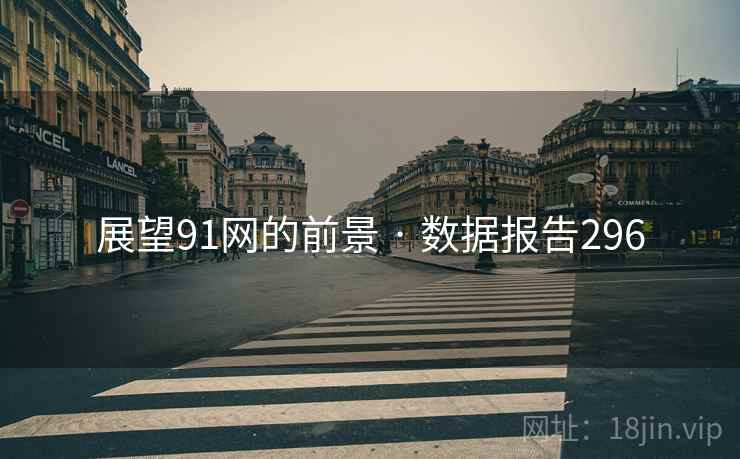 展望91网的前景 · 数据报告296
