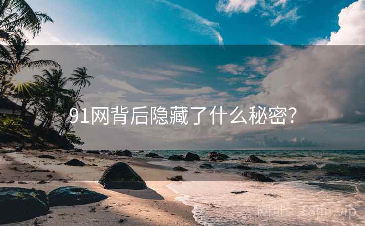 91网背后隐藏了什么秘密?