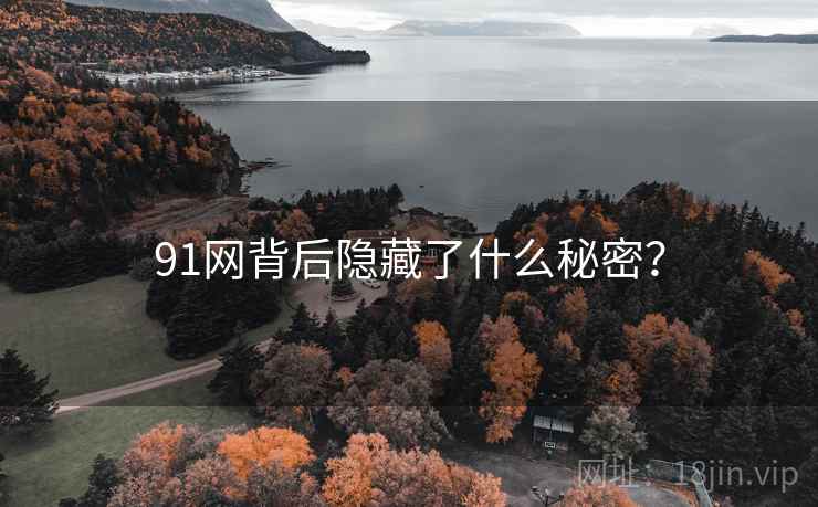 91网背后隐藏了什么秘密?