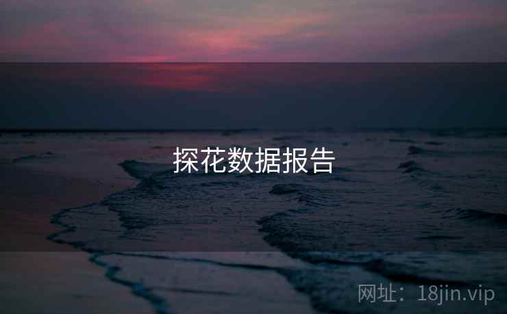 探花数据报告