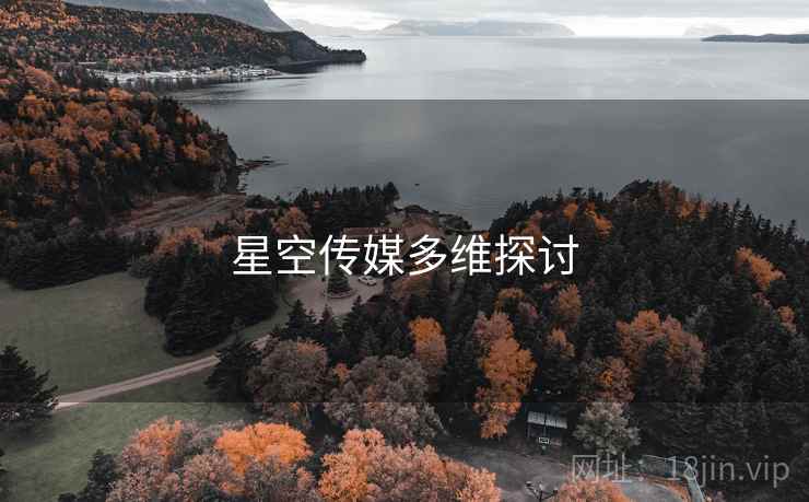 星空传媒多维探讨