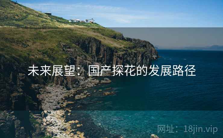 未来展望:国产探花的发展路径