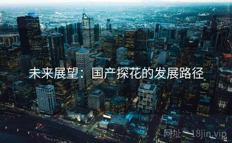未来展望:国产探花的发展路径