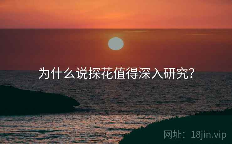 为什么说探花值得深入研究?