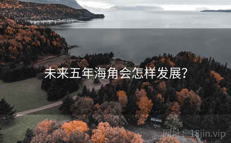 未来五年海角会怎样发展?