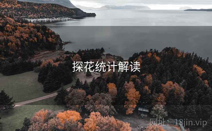 探花统计解读