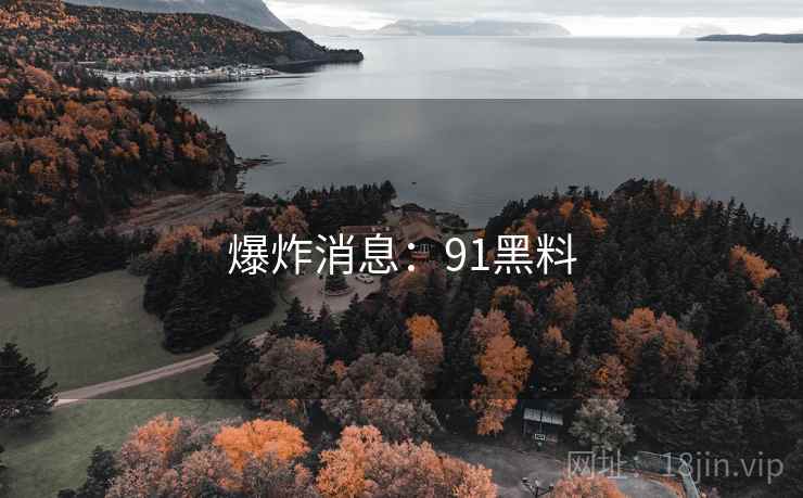 爆炸消息:91黑料
