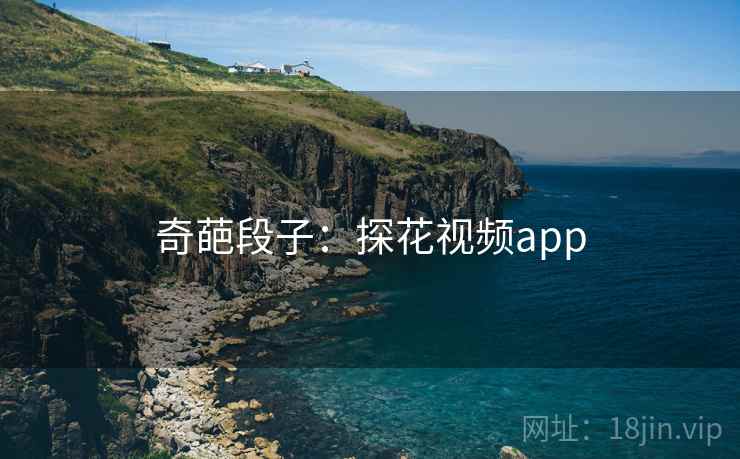 奇葩段子:探花视频app