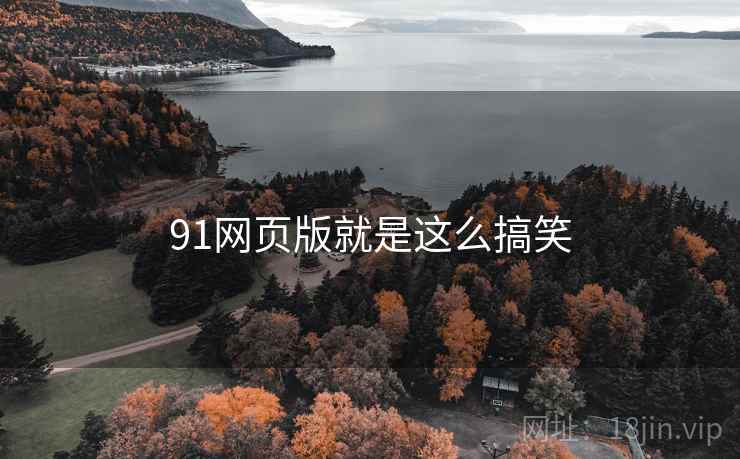 91网页版就是这么搞笑