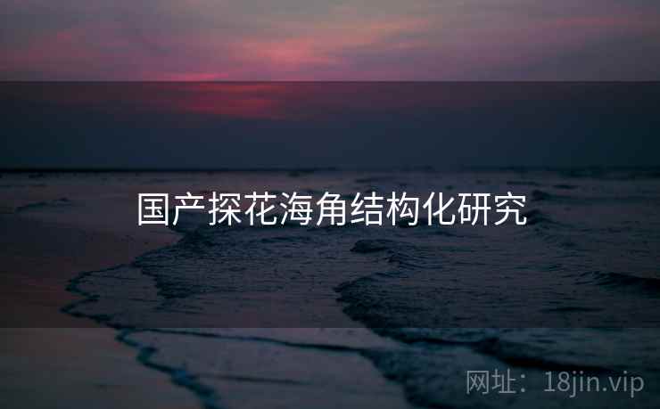 国产探花海角结构化研究